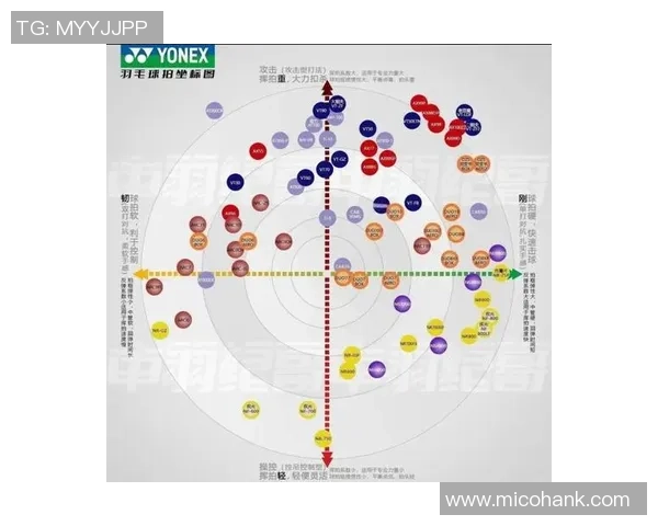 羽毛球新手攻略：力量入门指南_1